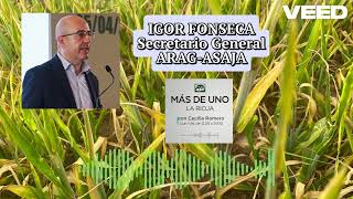 Entrevista de Igor Fonseca, secretario general de ARAG-ASAJA, en Onda Cero La rioja