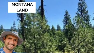 Montana Land