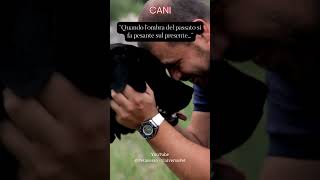 Quando l'ombra del passato si fa pesante sul presente #cane #animali #aforismi #frasedelgiorno