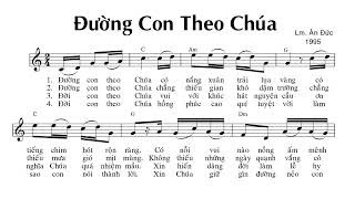 Đường Con Theo Chúa (Sáng Tác: Lm. Ân Đức) - Trường Sinh | Lyrics