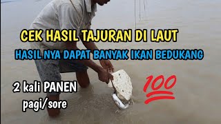 Tangkap Ikan : NAJUR ikan di LAUT Dapat banyak ikan BEDUKANG || traditional fishing || berburu ikan