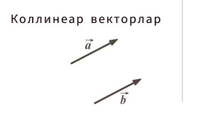 Коллинеар векторлар