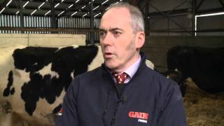 Glanbia Feeds for dairy cows in Ireland - driving milk production