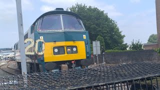 D1015 western champion and 50007 Hercules depart paignton 1/6/24