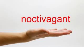 How to Pronounce noctivagant - American English