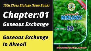 Gaseous exchange in alveoli class 10 | Biology class 10 chapter 1 | Class 10 new biology book