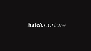 Hatch Live Stream