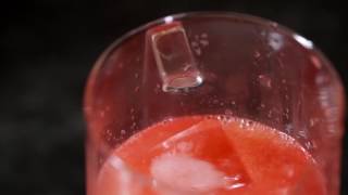 Summer Citrus Punch - Cocktail Recipes