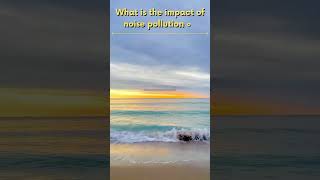 What is the impact of noise pollution on marine life