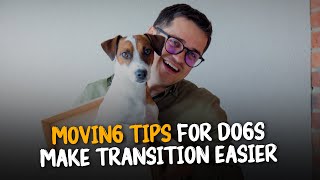 10 Moving Tips With a Dog | Tips to Make Transition Easier