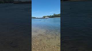 Ein  #schiff  auf TalfahrtTeil 2 #rhein #shorts #short