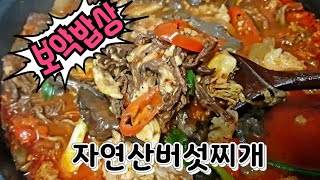 신이 내린 보약 ☆자연산버섯찌개☆(Korea Food: mushroom stew)