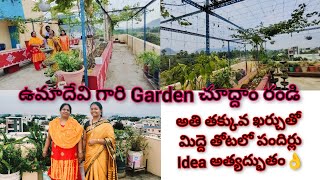 Cheap & Best vertical trellis for Garden ఇలాంటి స్టాండ్స్ ఇంతవరకు ఎక్కడా చూడలేదు జీవితకాలం మన్నుతాయి