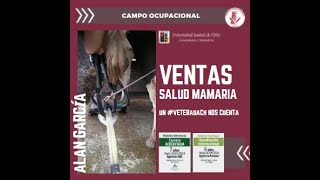 Campo Ocupacional Medicina Veterinaria - VENTAS Y SALUD MAMARIA - Experiencias Personales