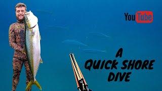 Unexpected YELLOWTAIL on shore dive | BSV: South African VLOG ep5