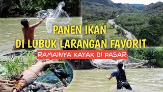 Panen Ikan di Lubuk Larangan Favorit, Ramenya Kayak di Pasar. Garonggang, Tapanuli Selatan