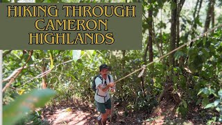 Hiking in CAMERON HIGHLANDS, malaysia. These trails where bloody steep!