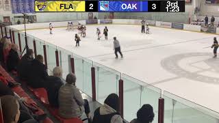 U14AA Flamborough Sabres VS Oakville Rangers Blue