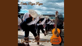 La despedida (Carlos Reyes y su guitarra tradicional)