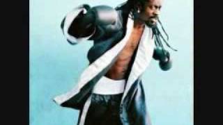 Beenie Man-Music a Di Beat