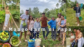 Vlog • Mango Farm ni Papa | TEAM KD Official