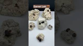 Garnet Lott 🤎 #badbunny #garnet #garnets #specimens #minerals #youtubeshorts #shortsviral #shorts