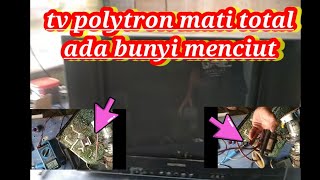 tv Polytron mati total disertai bunyi menciut,,,Iank electronik servis