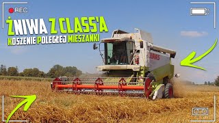 ☆ ŻNIWA Z CLAAS'Ą 2020 ☆ KOSZENIE POLEGŁEJ MIESZANKI ☆ CLAAS LEXION 460 ☆