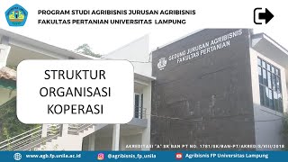 MK Koperasi : Struktur Organisasi Koperasi