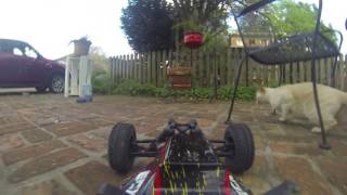 FPV Car Scare Cat