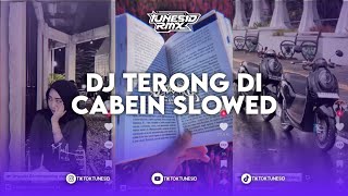 DJ SAYANG AKU TEMANI KAMU SAKIT X TERONG DICABEIN BREAKBEAT VERSI SLOWED SOUND KING PLAT DA