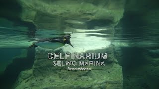 Delfinarium Selwo Marina en Benalmádena