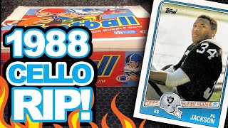 1988 Topps Football Cello Box RIP & Opening! - Mint Bo Jackson Rookies