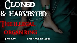 Cloned and harvested  | The Illegal organ ring| Sci fi HORROR