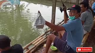 Fishing in the luckiest fort (can big fish)//Mancing di Empang paling beruntung (dapat ikan besar)