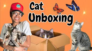 Unboxing With the Cats and Kittens