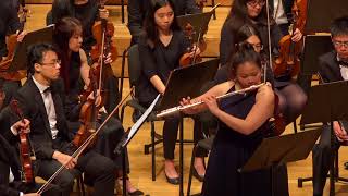 Flute Concerto Op.30 (by Hisatada Otaka)