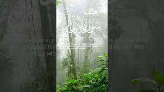 Surah Al-An'am Mishary bin Rashid AAlaafasy I Ayah 100