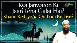 Kya Janwaron Ki Jaan Lena Galat Hai Khane Ke Liye Ya Qurbani Ke Liye by Zaid Patel iPlus TV