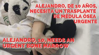 🔴 URGENTE: Alejandro, de 10 años, NECESITA TU AYUDA. Se busca donante de médula ósea compatible 100%