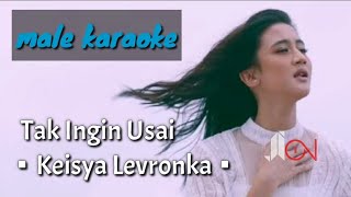 Tak Ingin Usai - Keisya Levronka (male karaoke)