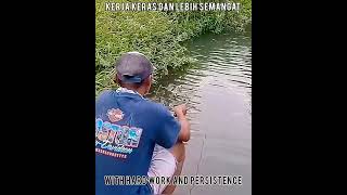 Pelajaran Dari Hobi Mancing / Lessons From Fishing Hobby #Shorts