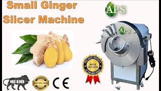 Automatic Ginger Slicing Cutting Machine In APS Industries