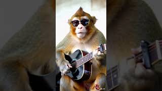 Nothing's gonna change 😍 for you - monkey cover #guitar #ai #funny