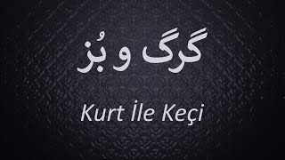 Kurt İle Keçi   /   گرگ و بُز