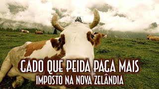 Gado que peida paga mais imposto na Nova Zelândia - Emerson Martins Video Blog 2023