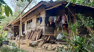 Tak Di Sangka..!! Di Balik Rimbun Nya Pepohonan Ada Perkampungan Warga.Di Bawah Lereng Gunung..