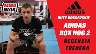 Adidas Box Hog 2 - recenzja Wiktora Brańskiego