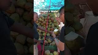 Air Kelapa plus degan #india #indonesia #shortvideo #indindoproject