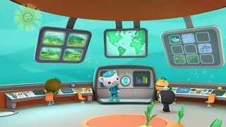 Octonauts -  The Snapping Shrimp